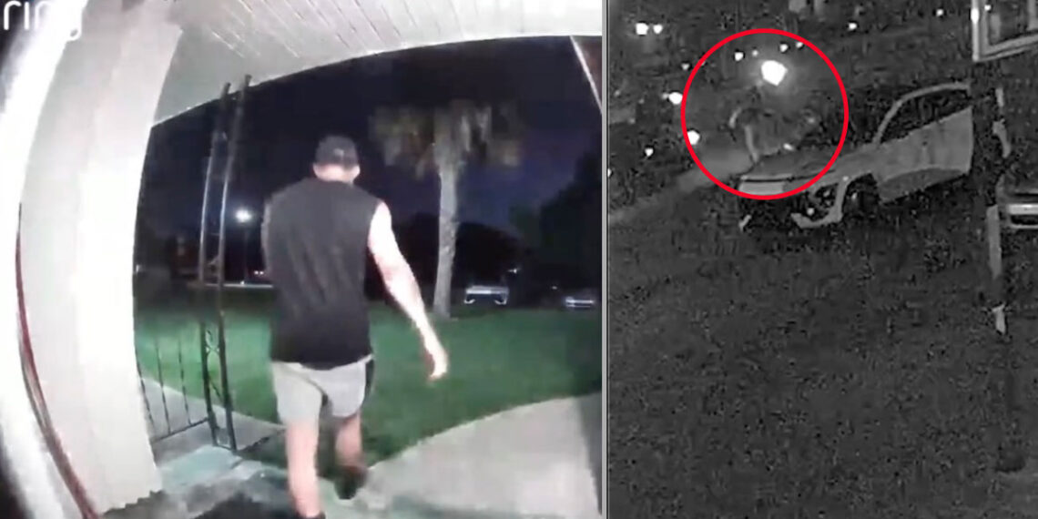 UFC Fighter Ramon Taveras Survives Attempted Shooting, Returns Fire in Self-Defense