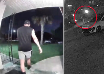 UFC Fighter Ramon Taveras Survives Attempted Shooting, Returns Fire in Self-Defense
