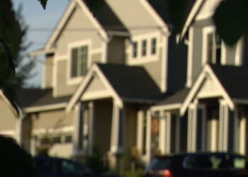 'I Gotta Protect My Family': Homeowner Defends Household During Late-Night Break-In