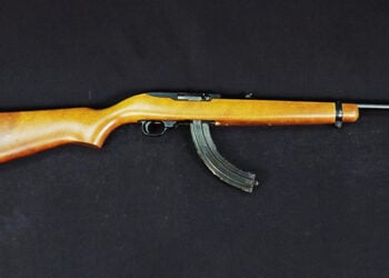 The Fighting 10/22? A Primer On Rimfire Carbines