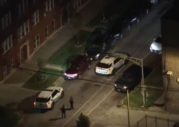 Suspect Uses Pepper Spray in Carjacking, Victim Responds with Gun
