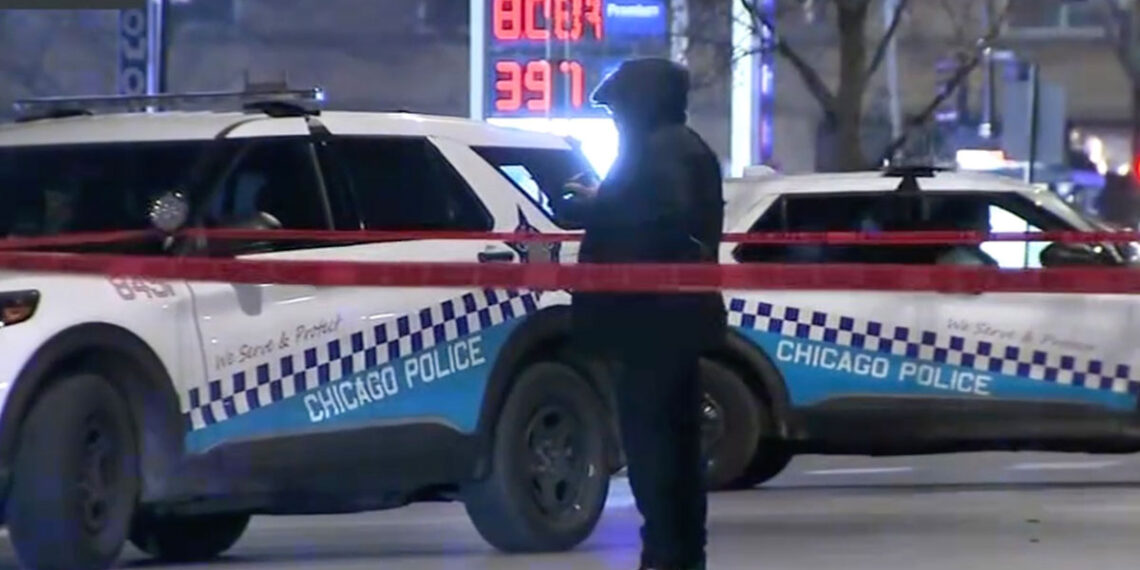 Armed Robbery Suspect Fatally Shot During Struggle on Chicago's South Side