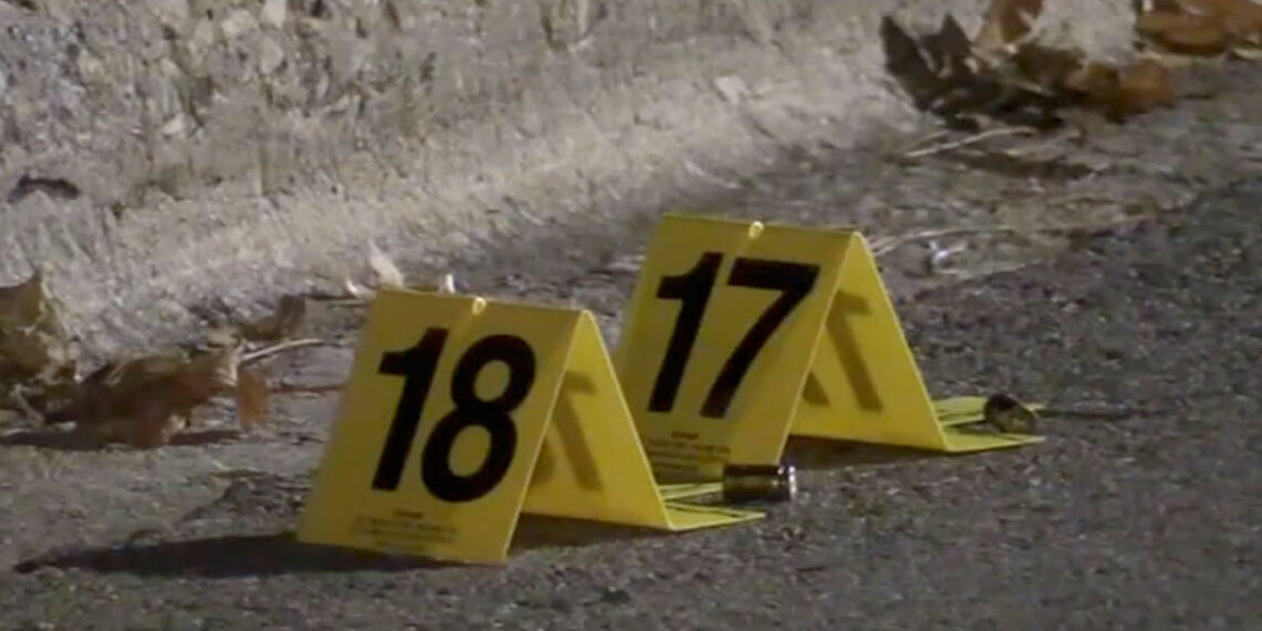 Bystander Injured in Shootout Between Burglary Suspects and Concealed Carry Holder on Chicago’s South Side