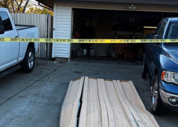 Homeowner Defends Family, Intruder Arrested After Stealing Neighbors Car and Police Pursuit