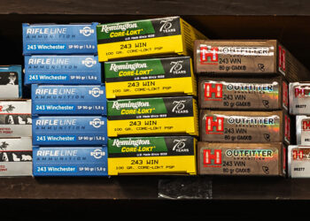 Ammo Storage 101: Protect Your Investment