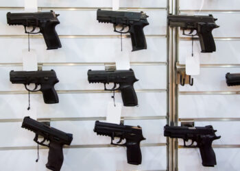 Bill to Lower Handgun Purchase Age to 18 Reintroduced by Rep. Thomas Massie
