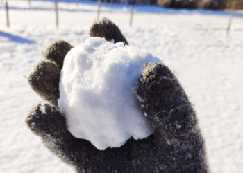 NY Man Claims Self-Defense After Deadly Shooting Over Alleged Snowball Incident