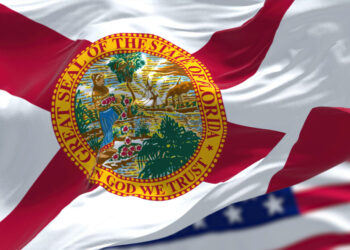 Bills to Lower Firearm Purchase Age, Expand Carry Rights Advance in Florida