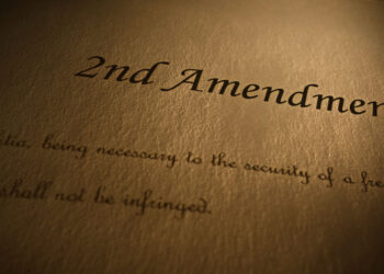 Fifteen Reasons to Own a Gun