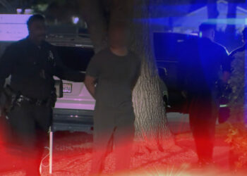 Suspect Shot by Homeowner During Attempted Tire Theft in Los Angeles Driveway