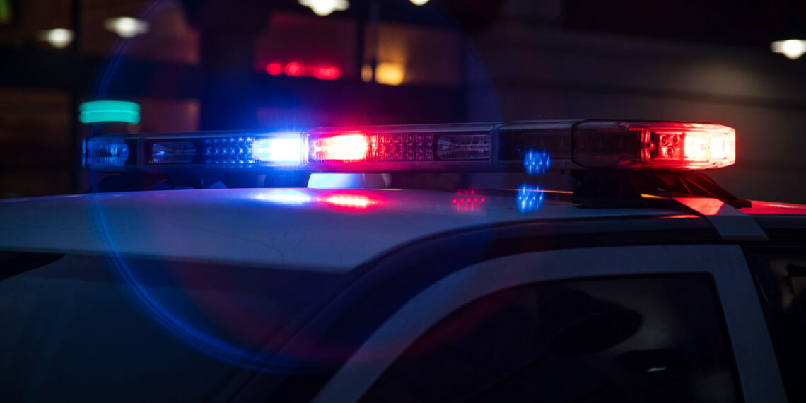 SHOT DEAD during carjacking attempt: Armed citizen opens fire on suspect who tried to steal his car in Stone Mountain, Georgia