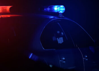 Michigan Homeowner Shoots Intruder in Neck During Early Morning Break-In
