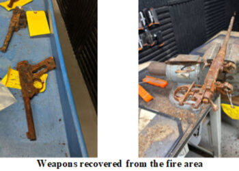 Lost Your Gun in the Palisades Fire? LAPD Opens Recovery Process for 500 Firearms Found