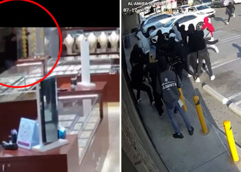 20 vs. 1: Anaheim Jewelry Store Owner Fires a Single Shot, Sends Smash‑and‑Grab Crew Running