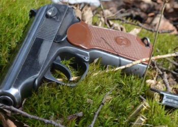 Child Discovers Firearm at Playground, Owner Now Facing Charges