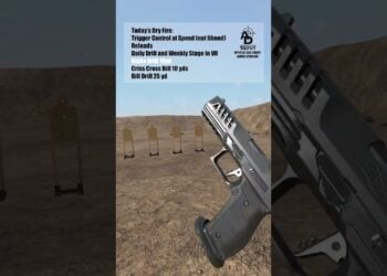 Mixing Dry Fire and VR Training