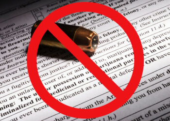 Nevada Gun Sales Halted For Nearly Two Weeks As State Background Check System Remains Down