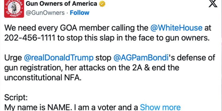 Federal Government Defends Gun Registration Using “Necessary and Proper” Clause