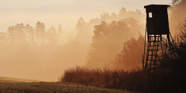 Tragic Hunting Accident Claims Life of Louisiana Man in Lafourche Parish