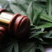 Cannabis and the Second Amendment? Gun and Weed Groups Join Forces in Landmark Case