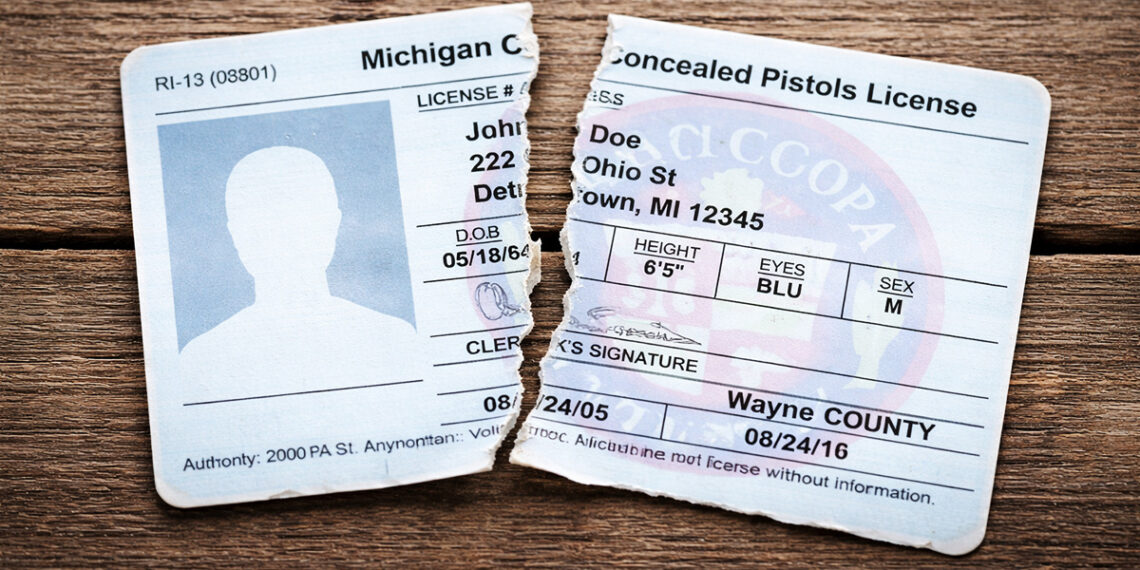 Michigan Could Become 30th Constitutional Carry State Under New House Bills