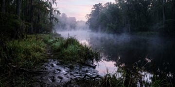 Biloxi Neighbor Shoots Naked Attacker Multiple Times, Gets Disarmed Mid-Fight Before Man Walks Back Into the River