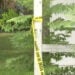 Popeye's Argument Spills Into Gunfire After Pursuers Chase Man To Grandmother's House