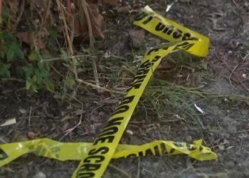 22-Year-Old Florida Man Fires a Single 9mm Round During a Brawl with Acquaintance in Living Room