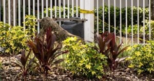 Man Dead After Trying to Force His Way Into Home Where His Ex-Girlfriend Was Visiting
