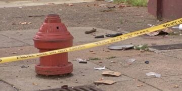 Philadelphia Carjacking Crew Picks a Driver Who Was Armed Too, Police Say