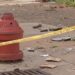 Philadelphia Carjacking Crew Picks a Driver Who Was Armed Too, Police Say