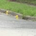 Richmond Delivery Driver Fires Several Rounds at Teen During 10:30 A.M. Carjacking Attempt, No Charges Placed