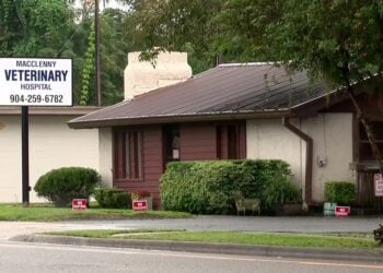 77-Year-Old Woman Out Feeding Stray Cats at 4:30 A.M. Shoots and Kills Man Who Pushed Her Into Her Car and Kept Assaulting Her Outside Macclenny Vet Hospital