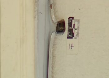 Alabama Homeowner Shoots and Kills 32-Year-Old Woman Who Kicked In His Back Door at 1 P.M. as Her Family Insists She Was Not a Threat