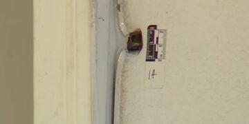 Alabama Homeowner Shoots and Kills 32-Year-Old Woman Who Kicked In His Back Door at 1 P.M. as Her Family Insists She Was Not a Threat