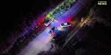 Florida Man Knocked Down by Pickaxe Blow to the Back Shoots Attacker Standing Over Him, Sheriff Says It Was Self-Defense